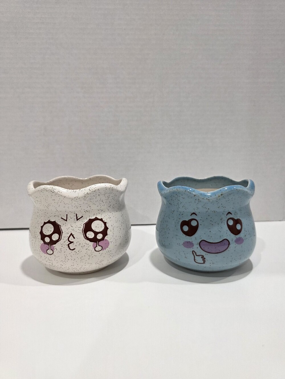 2 Animé Flower Pots